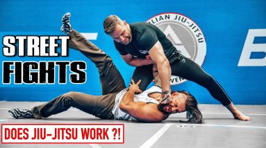DOES JIU-JITSU WORK in a REAL FIGHT!? | CHOKED UNCONSCIOUS By Most Painful Self Defence Technique!